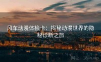 风车动漫体检卡：揭秘动漫世界的隐秘诊断之旅