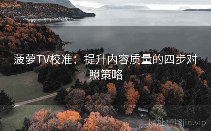 菠萝TV校准：提升内容质量的四步对照策略